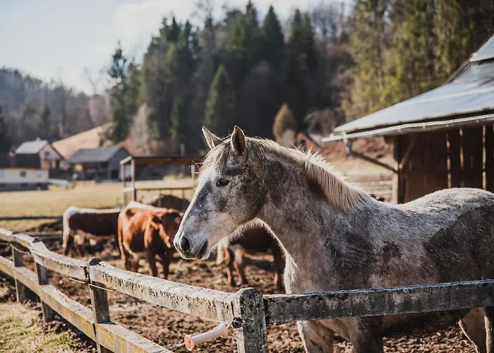 Wooden Zurej With Hot Tub